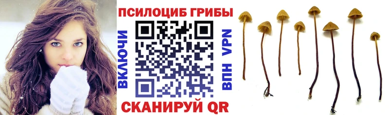 Купить  Переславль-Залесский  Псилоцибиновые грибы мухоморы 